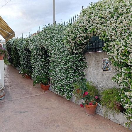Bed And Breakfast Angolo Fiorito Civitavecchia Exterior photo