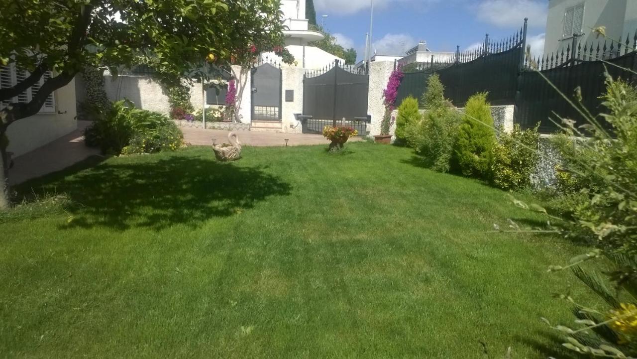 Bed And Breakfast Angolo Fiorito Civitavecchia Exterior photo