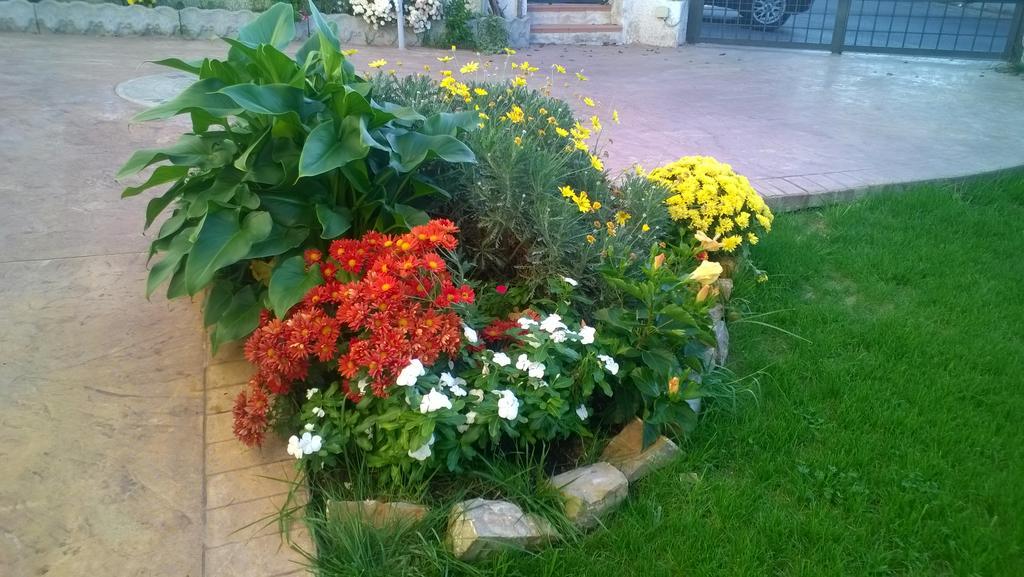Bed And Breakfast Angolo Fiorito Civitavecchia Exterior photo
