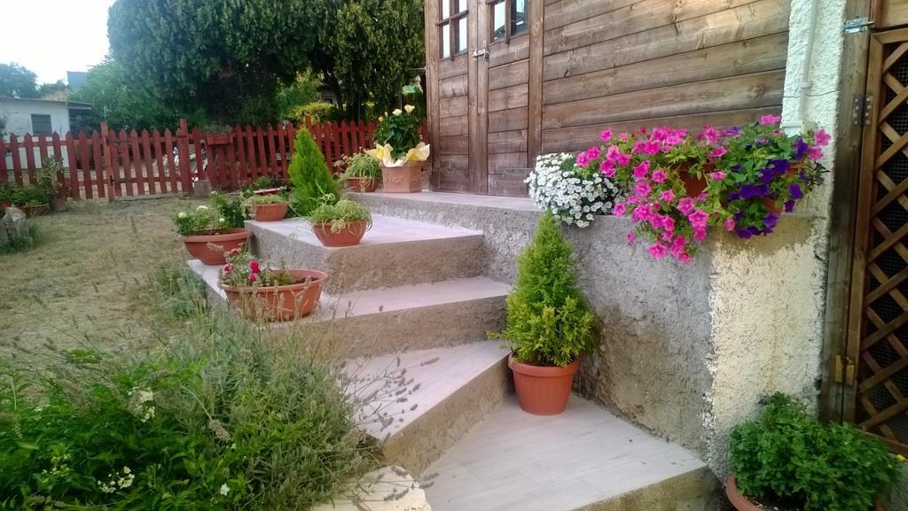 Bed And Breakfast Angolo Fiorito Civitavecchia Exterior photo