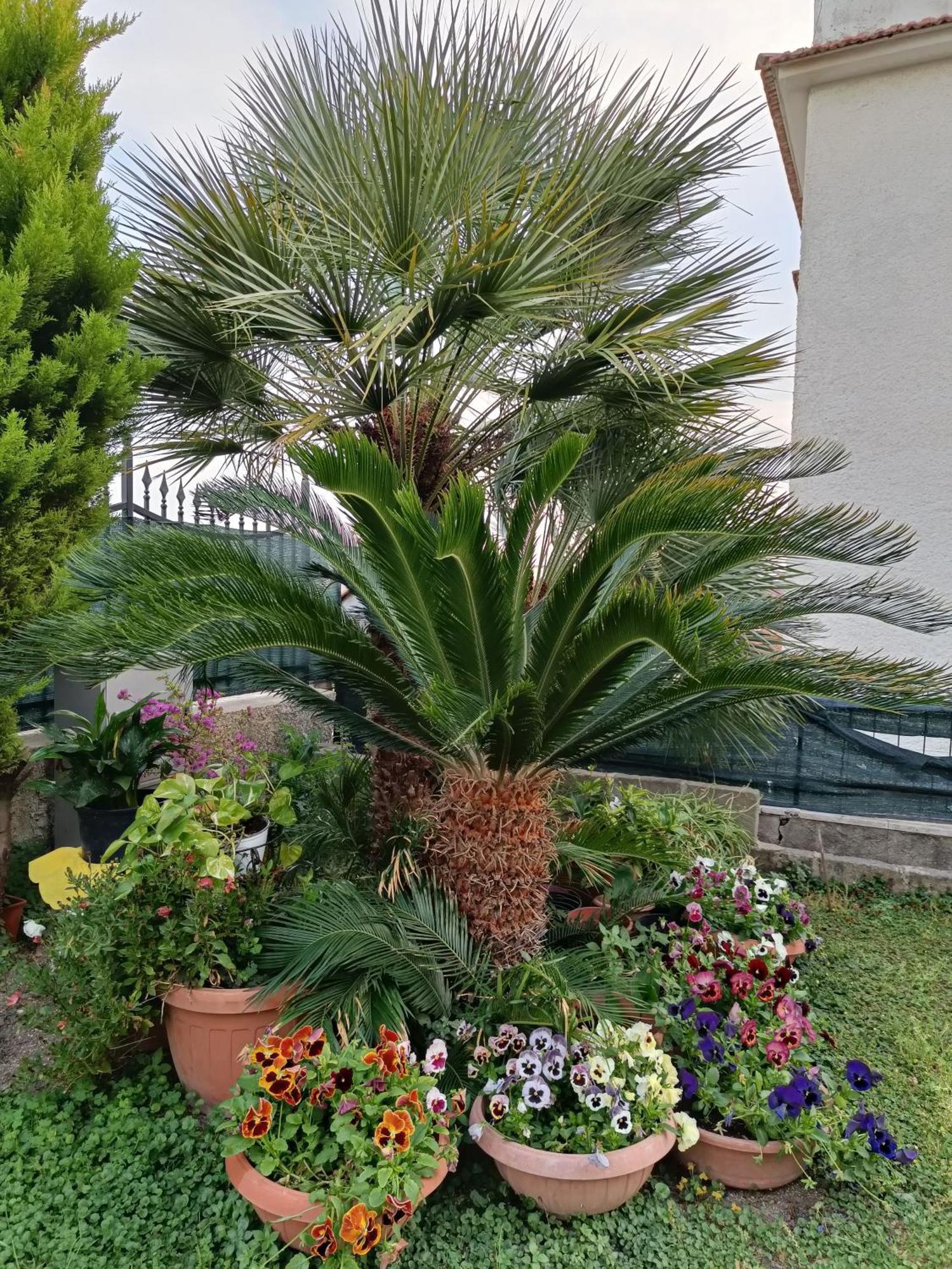 Bed And Breakfast Angolo Fiorito Civitavecchia Exterior photo