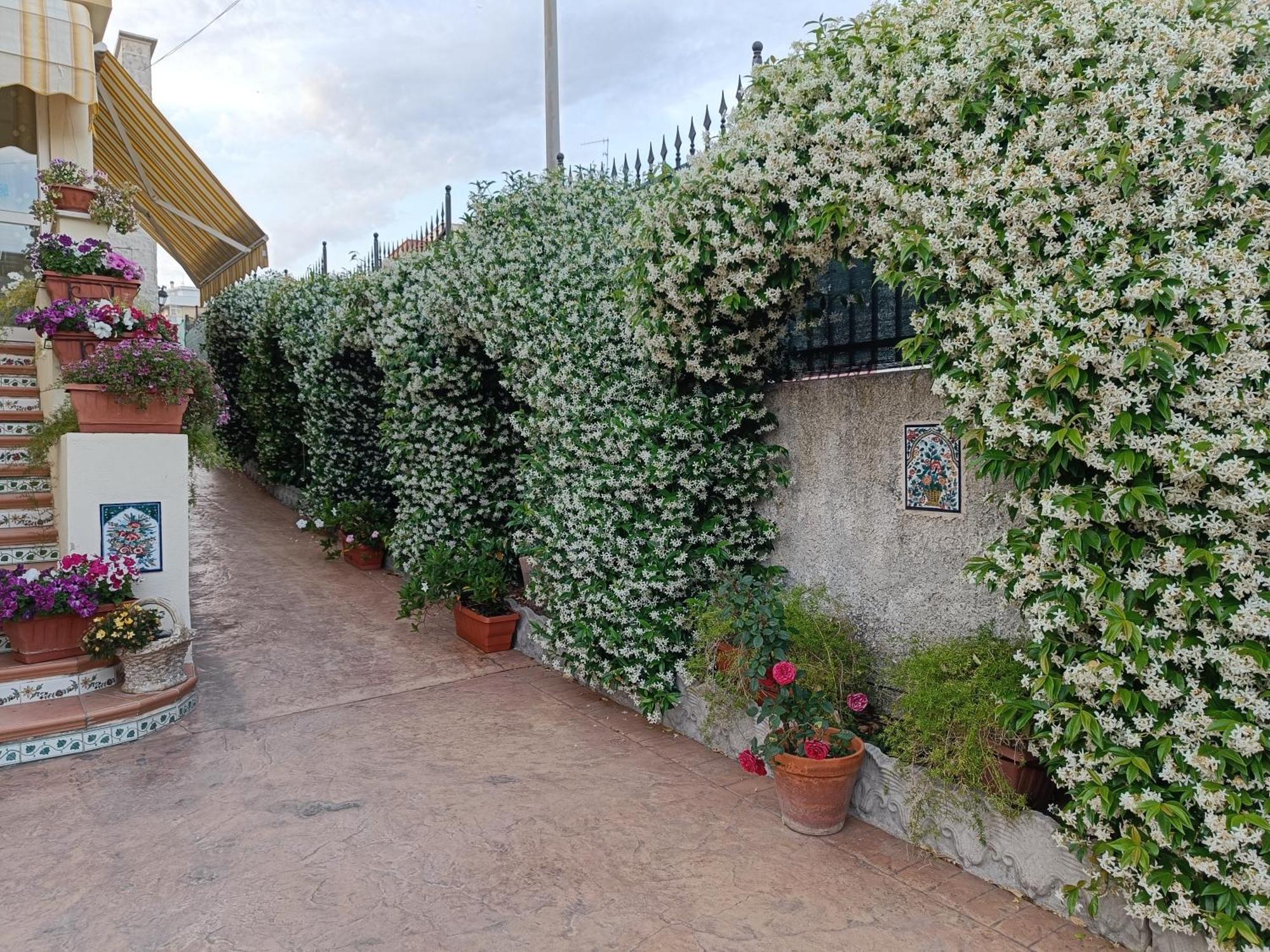 Bed And Breakfast Angolo Fiorito Civitavecchia Exterior photo