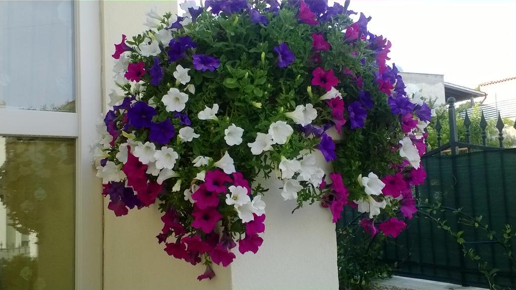 Bed And Breakfast Angolo Fiorito Civitavecchia Exterior photo