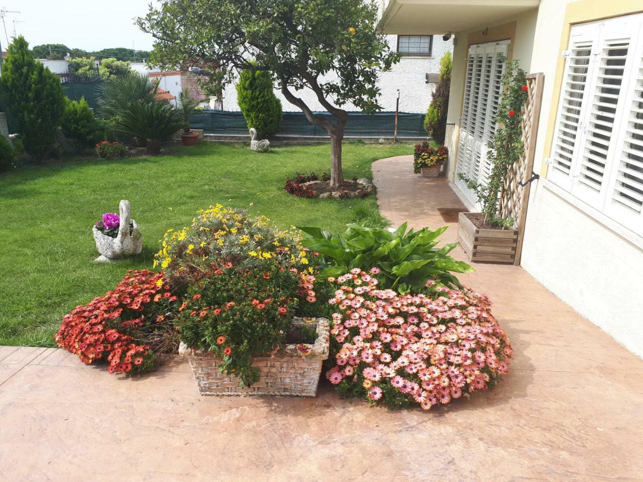 Bed And Breakfast Angolo Fiorito Civitavecchia Exterior photo