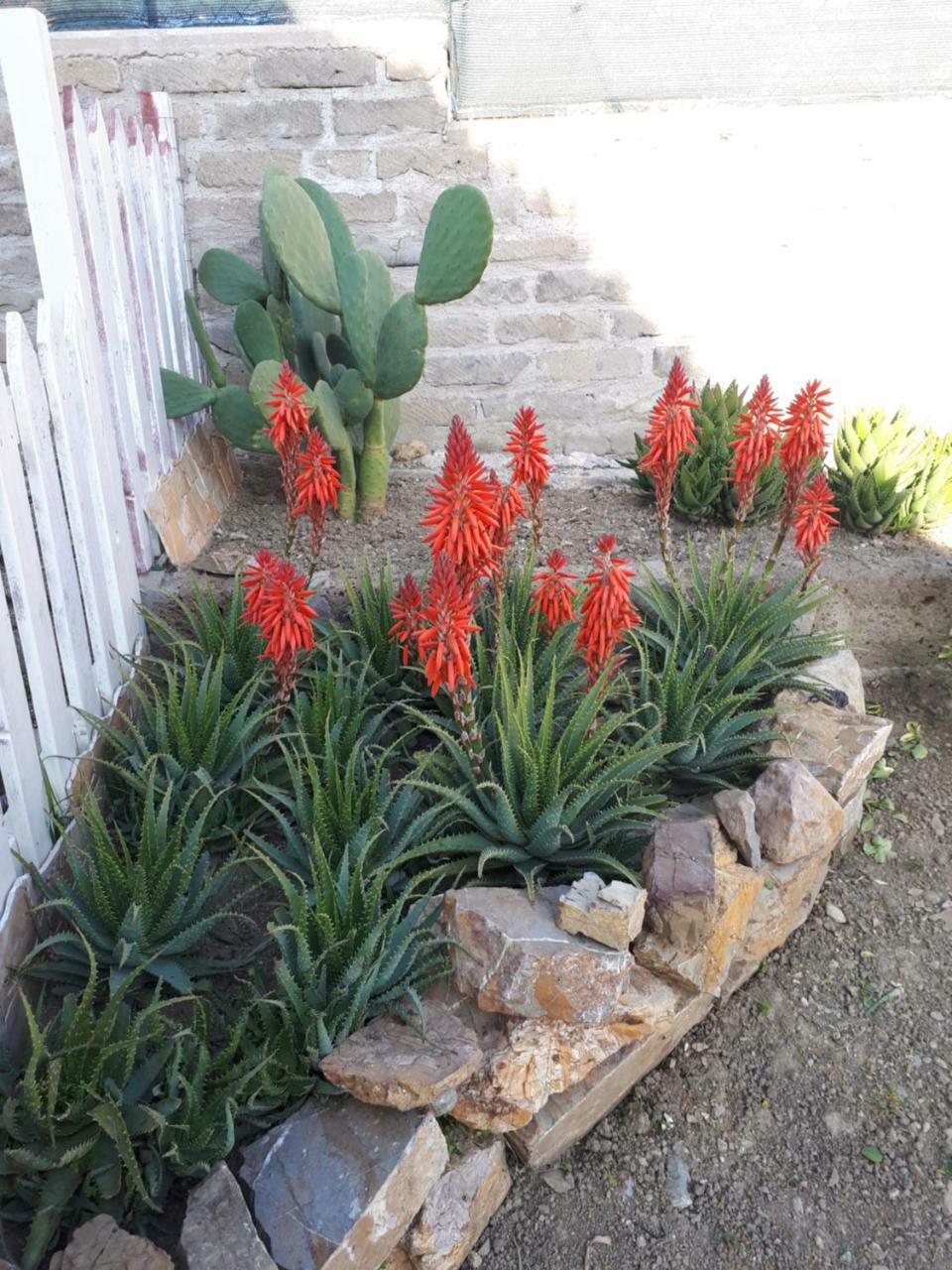 Bed And Breakfast Angolo Fiorito Civitavecchia Exterior photo