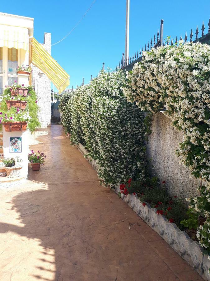 Bed And Breakfast Angolo Fiorito Civitavecchia Exterior photo
